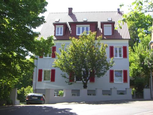 Ungericht Aussenputz 4